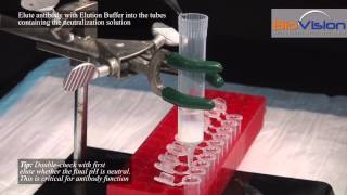 Antibody Purification Video  Biovision Inc [upl. by Moht]