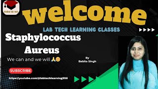staphylococcus Aureus morphologyvirulence factor pathogenesisdiagnosisdetailsmltmicrobiology [upl. by Zoie]
