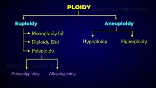 AneuploidyMonosomyNullisomyTrisomy and Tetrasomy [upl. by Sinai]