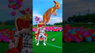 The mascot vibrato assistant placed on the football field is popular🦘😱 [upl. by Dlonyar]