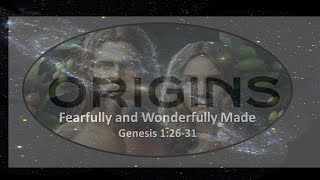 Origins Fearfully and Wonderfully Made [upl. by Nightingale]