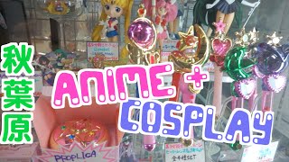 Best AKIHABARA Anime Store Tour ANIMATE 秋葉原アニメイトツアー [upl. by Eram]