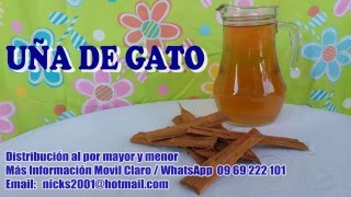 Uña de Gato  Propiedades y beneficios CAGUACO  ECUADOR [upl. by Eiclehc]