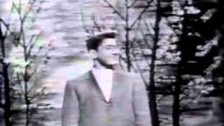 Paul Anka  Dayana En españolwmv [upl. by Cadman]