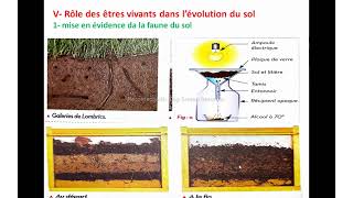 Le rôle des êtres vivants dans la formation et l’évolution du sol tcsf شرح بالدارجة [upl. by Avirt]