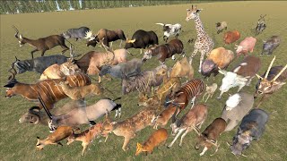 EvenToed Ungulates Animal Speed Comparison in 3D Animation  Realistic World Data [upl. by Aneelehs993]