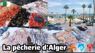 الجزائر العاصمة اليوم 04 05 2024 مسمكة الجزائر العاصمة la pêcherie dAlger [upl. by Ellennoj926]