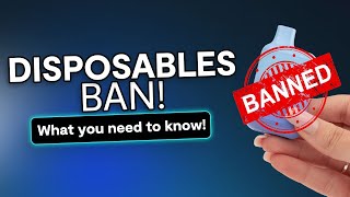 Disposables Ban  What you need to know [upl. by Turk]