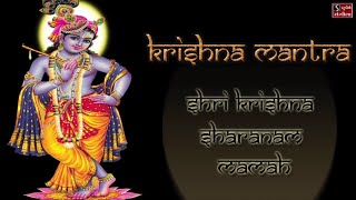 Shri Krishna Sharanam Mamah  Beautiful Krishna Mantra  Niranjan Pandya [upl. by Erin442]