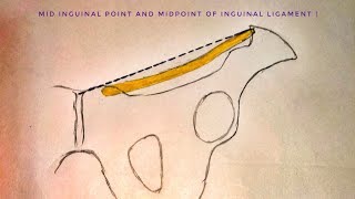 Mid inguinal point and midpoint of inguinal ligament  med tutorials [upl. by Montford898]