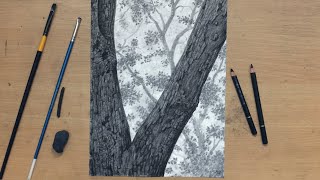 Charcoal Drawing of a Rough Tree Bark [upl. by Hembree]