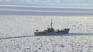 La Antártica Un Continente Sin Fronteras [upl. by Humbert]