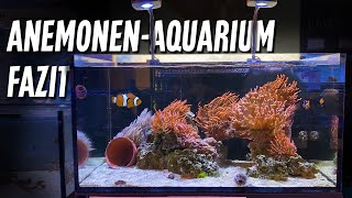 Fazit zum ANEMONENAQUARIUM  PlanktonPlus Aquaristik [upl. by Normy318]