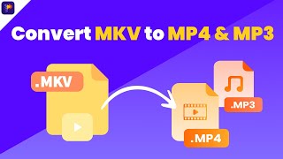 How to Convert MKV to MP4 and MP3 with Subtitle Tips 2024 ✨✨ [upl. by Siloa]