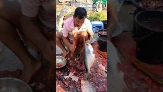 Amazing Big Pangash Fish Cutting Skills speedcutting fish fishcuttingskill [upl. by Charin403]