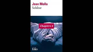 4  Sobibor  livre audio  Chapitre 4  Jean Molla  lecture et résumé [upl. by Manlove]