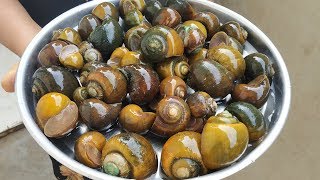 Awesome Recipe  Snails  Indian Live Snails Masala Curry  Cooking amp Cleaning Snails Village Style [upl. by Dane]