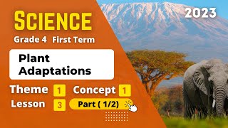 Grade 4  Science  Unit 1  Concept 1  Lesson 3  Part 12  Plant Adaptations [upl. by Ocinom]