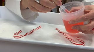 Fizzing Candy Canes Experiment [upl. by Avaria]