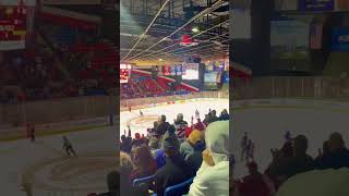 When Utica Comets scored last night ♥️ [upl. by Marlo]