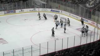 32217 Wheeling Nailers vs Idaho Steelheads [upl. by Alet485]