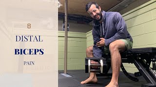 How to Fix Your Distal Biceps Pain Tendonitis [upl. by Gish]