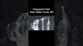 Odegaard Falls v1 near Bella Coola BC  ihikebccom shorts waterfall britishcolumbia nature [upl. by Reel608]