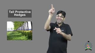 quotTall Protective Hedgesquot  Indian Sign Language Tutorial  How to Sign [upl. by Rustin357]