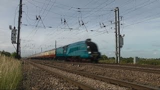 Bittern at 90mph  High Speed Steam Train [upl. by Brey]