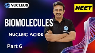 Nucleic acids II Biomolecules II Nucleus Neet academy [upl. by Marlie]