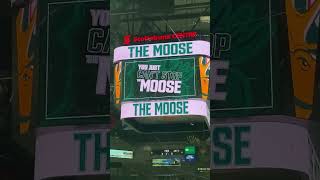 Halifax Mooseheads goal hockey qmjhl mooseheads shorts subscribe [upl. by Terrence284]