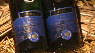 Wine amp Gastronomy in Cochem Region in Moselle Valley in Germany  Riesling wines etc [upl. by Rats]