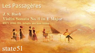 JS Bach Violin Sonata No 3 in E Major BWV 1016 III Adagio ma non tanto by Les Passagères [upl. by Gere308]