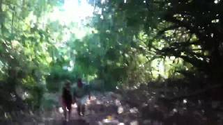 Walking a path to Anini beach [upl. by Frieder]