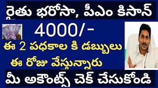 ysr rythu bharosa 2022pm kisan updates 2022ysr rythu bharosa amount release datepm kisan amount [upl. by Nedi]