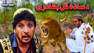 Da Sada Gul Bahaduri  Funny Video 2021 By Sada Gul Vines  Sada Gul Vines [upl. by Fulmer]