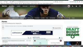 Import Fantrax Owners and Draft Picks to Fantasy Baseball Draft Buddy [upl. by Lertnom260]