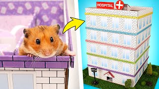 Domowej roboty pięciopoziomowy szpitallabirynt dla chomika 🐹🏥❤️ [upl. by Reube]