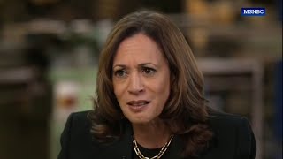 ‘Nonsensical sentences’ Kamala’s old habits reappear in MSNBC interview [upl. by Inol]