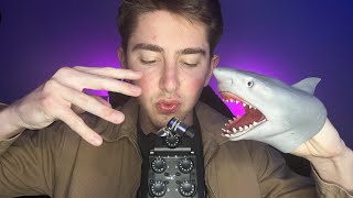 Most Tingly ASMR Mouth Sounds Ever [upl. by Wolford]