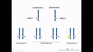 Genética T3A Herencia mendeliana 1a Ley  Biología Celular y Tisular [upl. by Snebur]