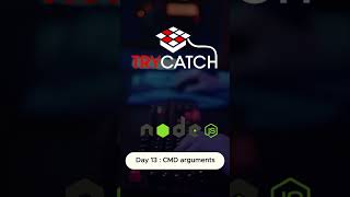 Day 13 Handling CommandLine Arguments in Nodejs NodeJS JavaScript CommandLineArguments [upl. by Devol166]