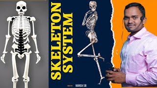 Skeletal System 11th [upl. by Hersch]