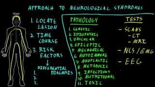 Approach to neurological syndromes [upl. by Washington]