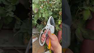 Tree Cutter High Performance Hardware Tools shortsfeed [upl. by Idden]