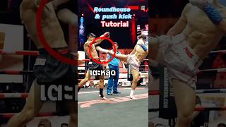 Trickiest kick ever🔥round house amp push side kick tutorial‼️ [upl. by Adnical509]