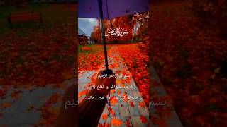 Surah Nasr Verses  1  Nasr Surah Meaning سورہ نصر [upl. by Wendelina]