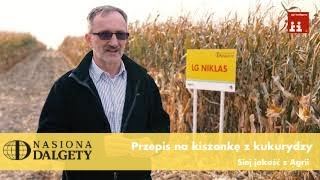 Przepis na kiszonkę z kukurydzy  Agrii Polska [upl. by Umont]