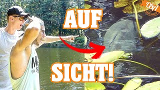 CHALLENGE Wer fängt zuerst 6 Fischarten auf SICHT OSA in Mission Angeln [upl. by Dualc]