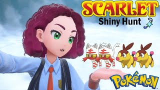 Pokémon Scarlet  Litten amp Tepig Shiny Hunt [upl. by Nnaacissej647]